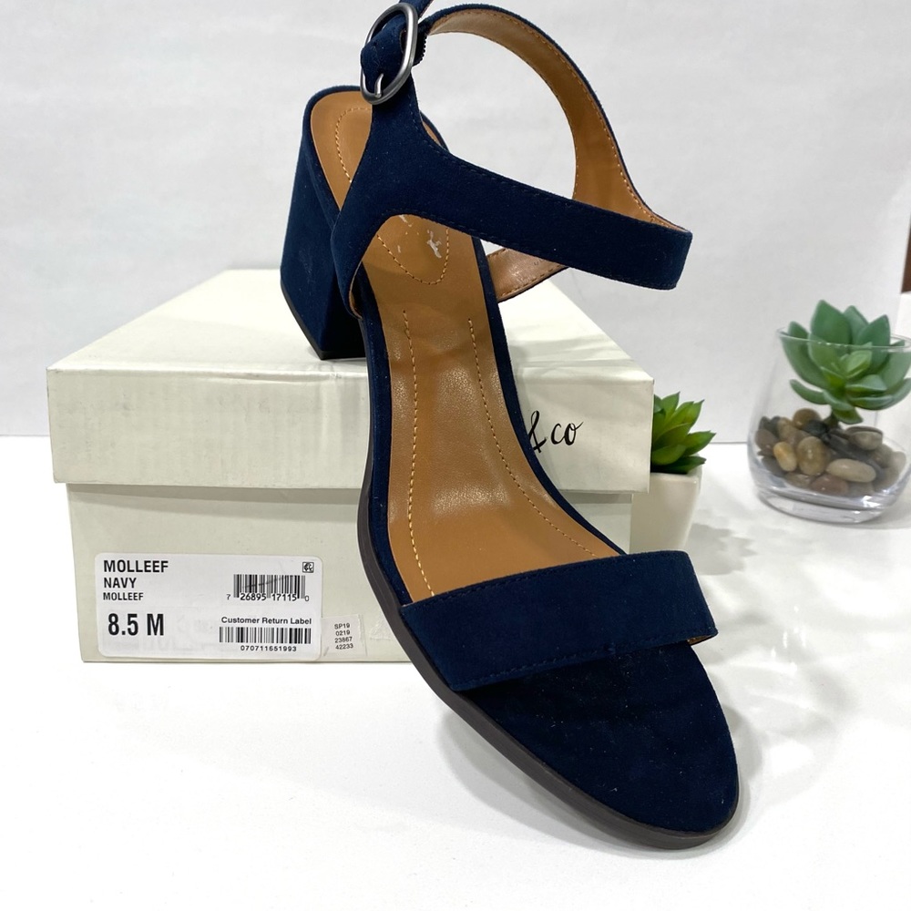 Style & Co Mollee in blue NWO with box.